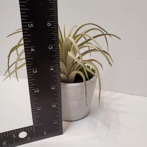 Faux Succulent Arrangement in Concrete Planter, Succulents and Air Plant - Picture 7 of 8